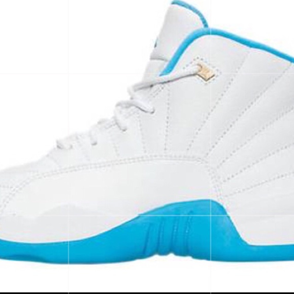Air Jordan 12 Retro